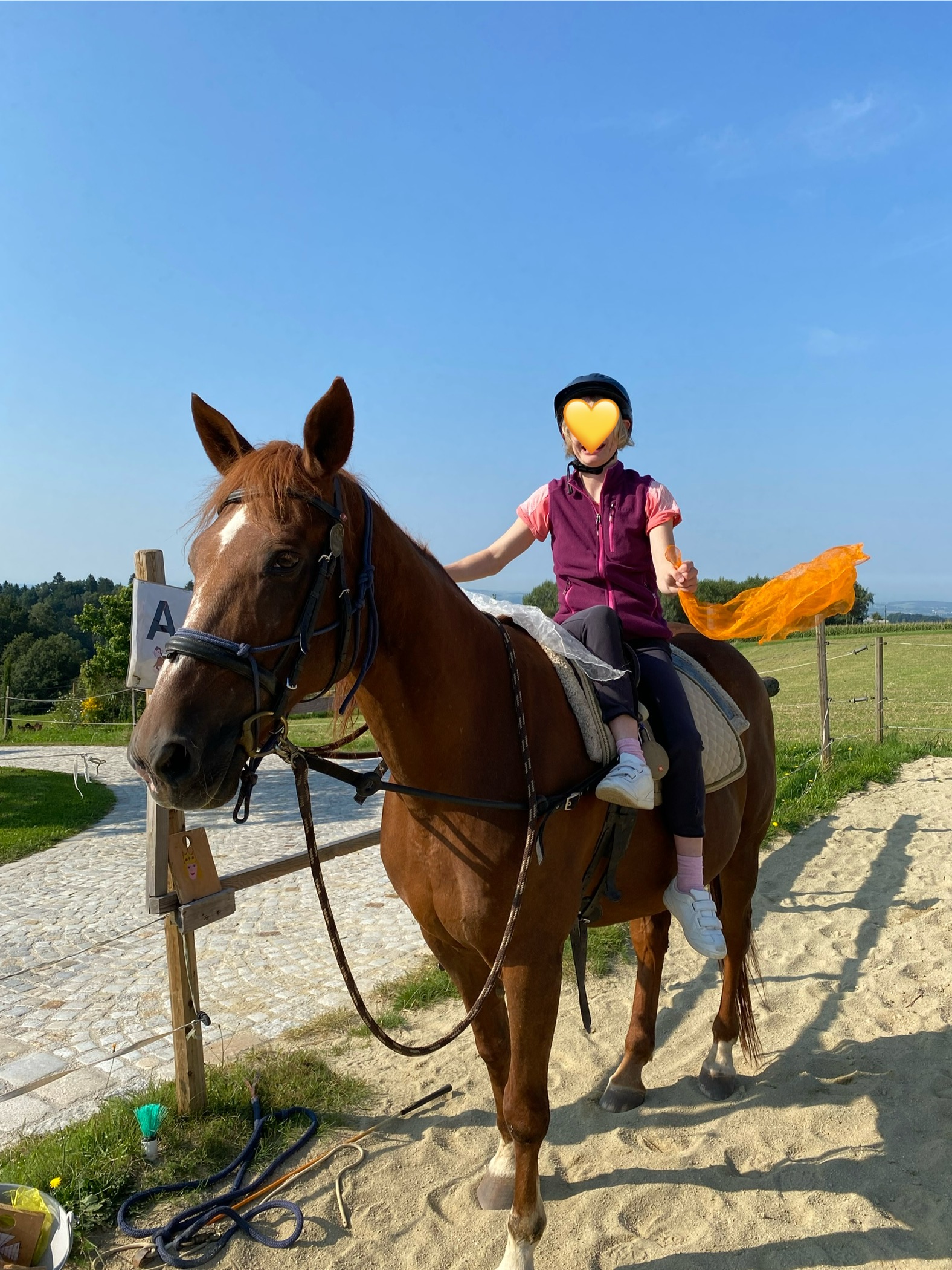 jugendliche Reiterin